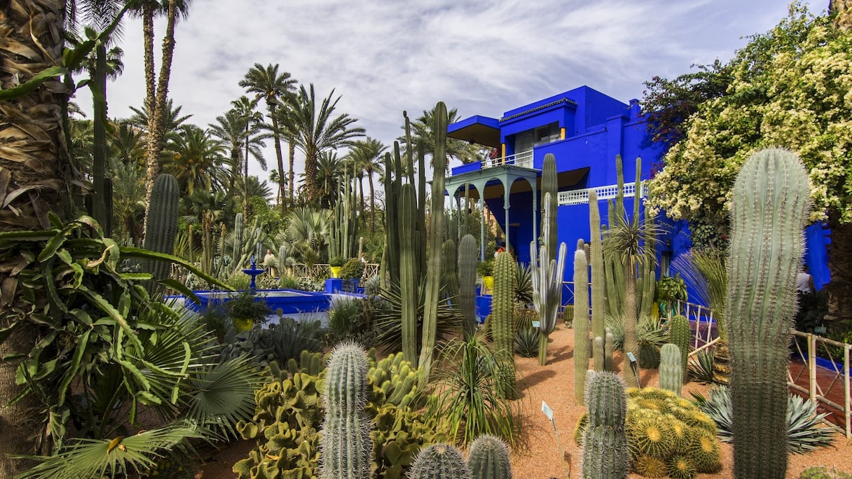 Yves Saint Laurent avait créé, en ces lieux, le fameux "bleu Majorelle". 
