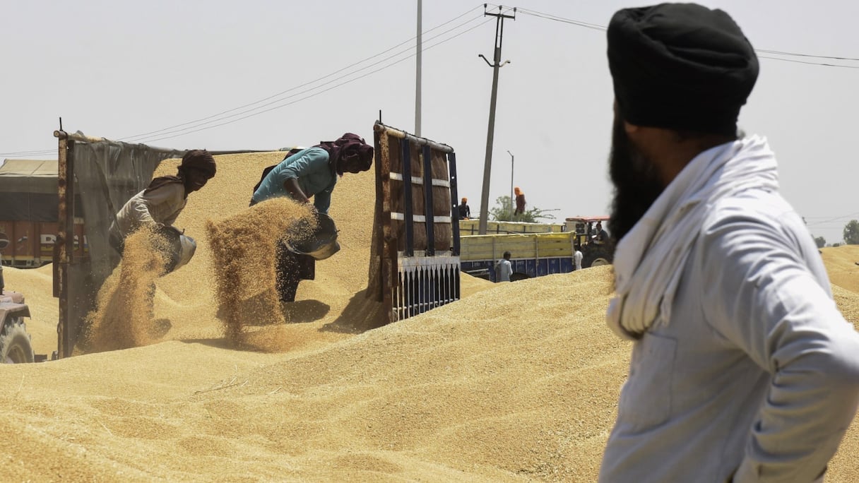 Des ouvriers déchargent du blé d'une remorque sur un marché céréalier en gros à la périphérie d'Amritsar le 16 avril 2022.
