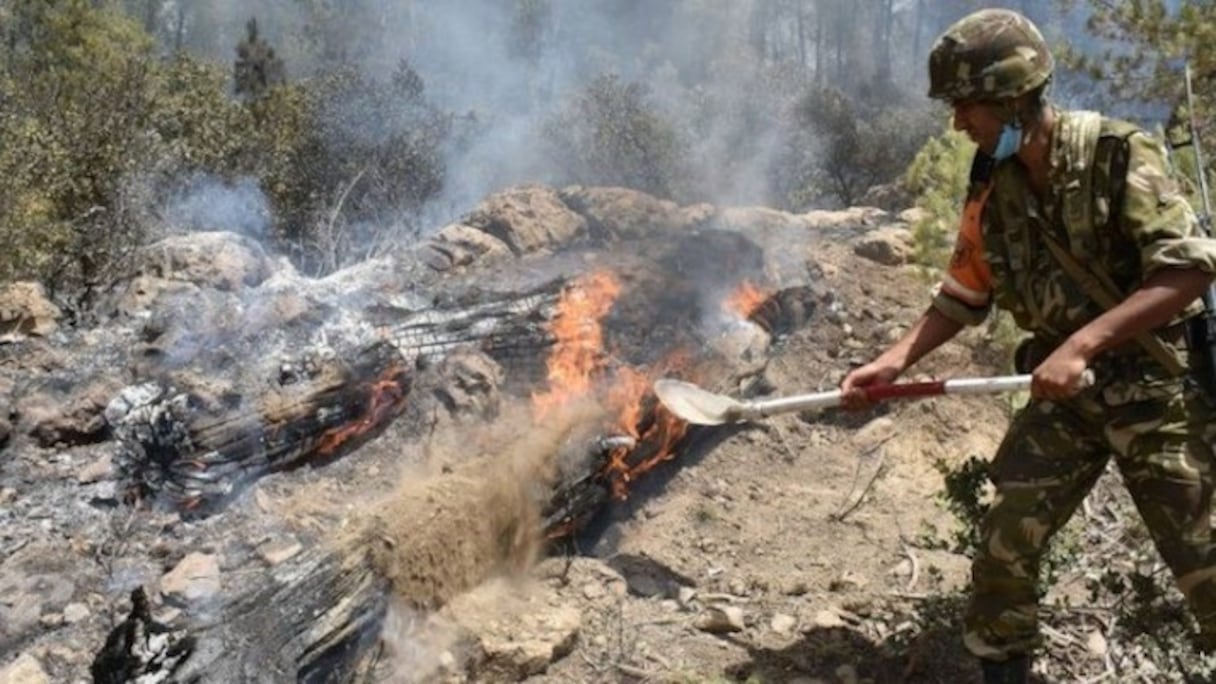 Les incendies en Algérie ont fait, selon un dernier bilan officiel, au 18 août 2021, 90 morts, dont 33 militaires. Ceux-ci ont été envoyés par les autorités à une mort quasi-certaine, sans avoir reçu l'équipement nécessaire. 
