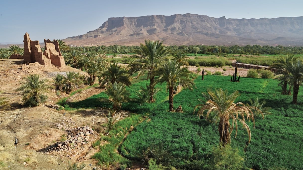 Une oasis luxuriante au pied des montagnes d'Aagoubt, dans la vallée du Draa.
