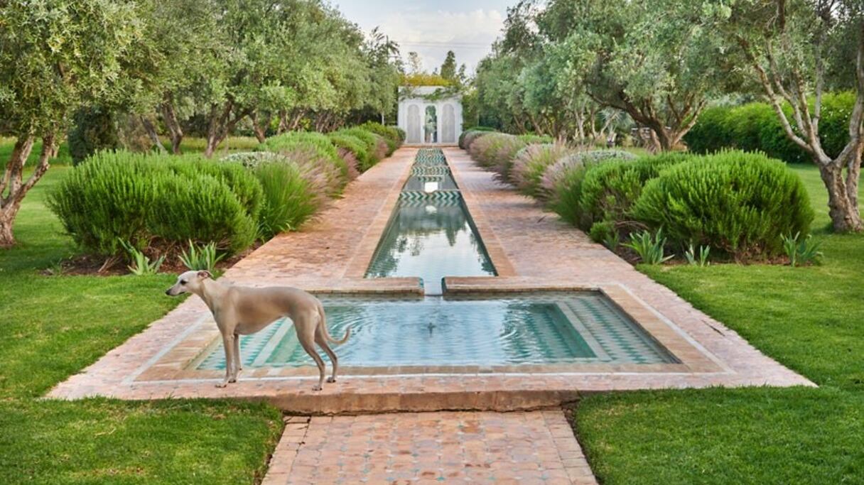 Dans l'un des jardins que montre "Inside Marrakesh: Enchanting homes and gardens". 
