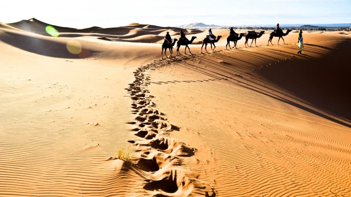 Plus connu sous le nom de dunes de Merzouga, l'Erg Chebbi offre un paysage magnifique avec d’impressionnantes dunes qui changent de couleur en fonction de la lumière du jour. L’erg abrite également de nombreuses espèces d’oiseaux.
