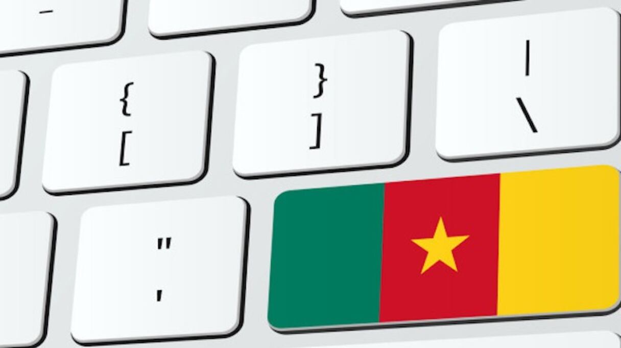Le nom de domaine ".cm" n'est pas le préféré des sites internet Camerounais. 
