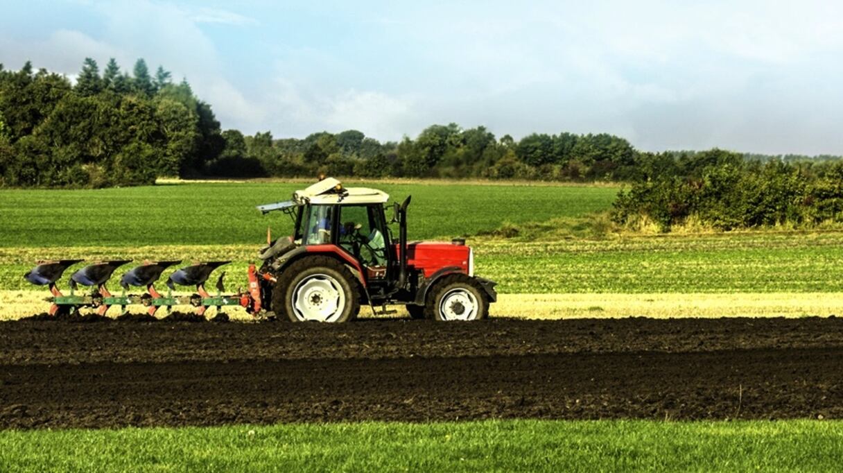 Une bonne saison agricole se prépare. 
