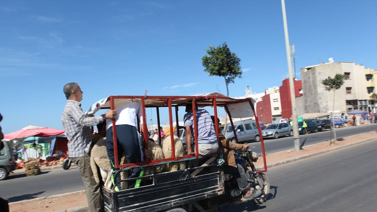 Tous les moyens sont bons. Pourvu que chacun ait son mouton à la maison! Aïd Moubarak à tous!
