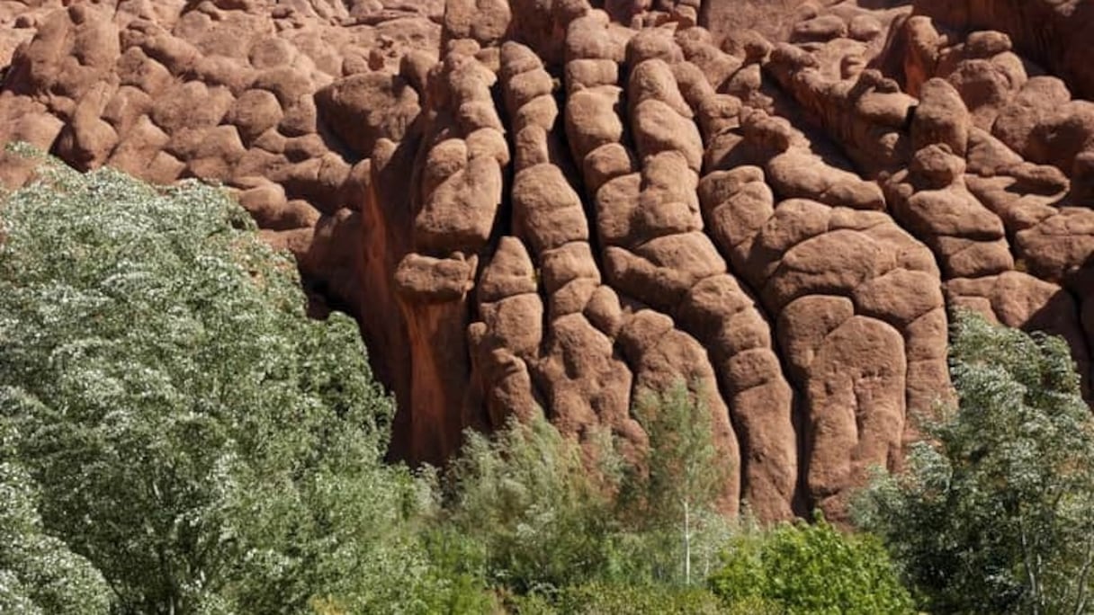 Entre le Jbel Saghro et le massif du Haut Atlas, les falaises de Tamlalt, surnommées "les doigts de singe de la vallée du Dadès", sont une formation rocheuse à la fois étonnante et grandiose. 
