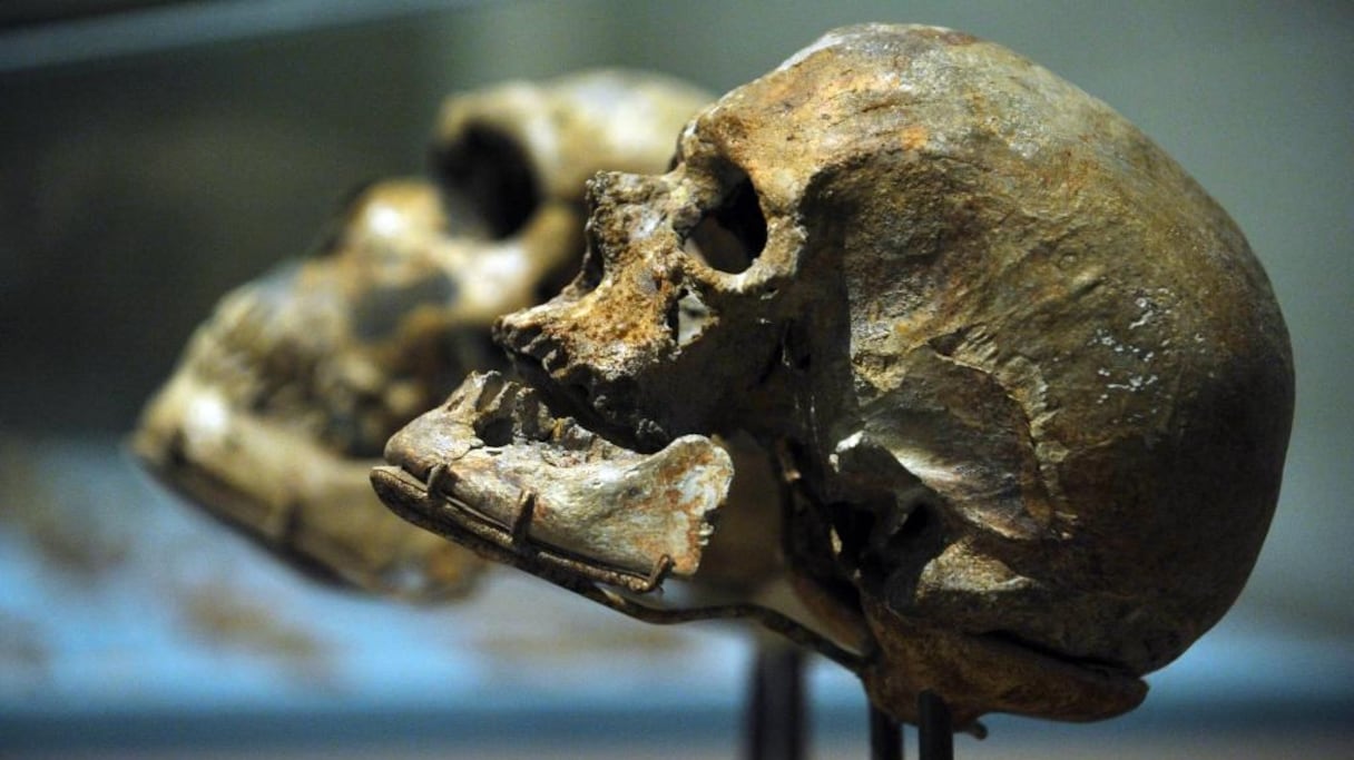 Un Homo sapiens découvert dans la grotte de Jebel Irhoud, au Maroc.
