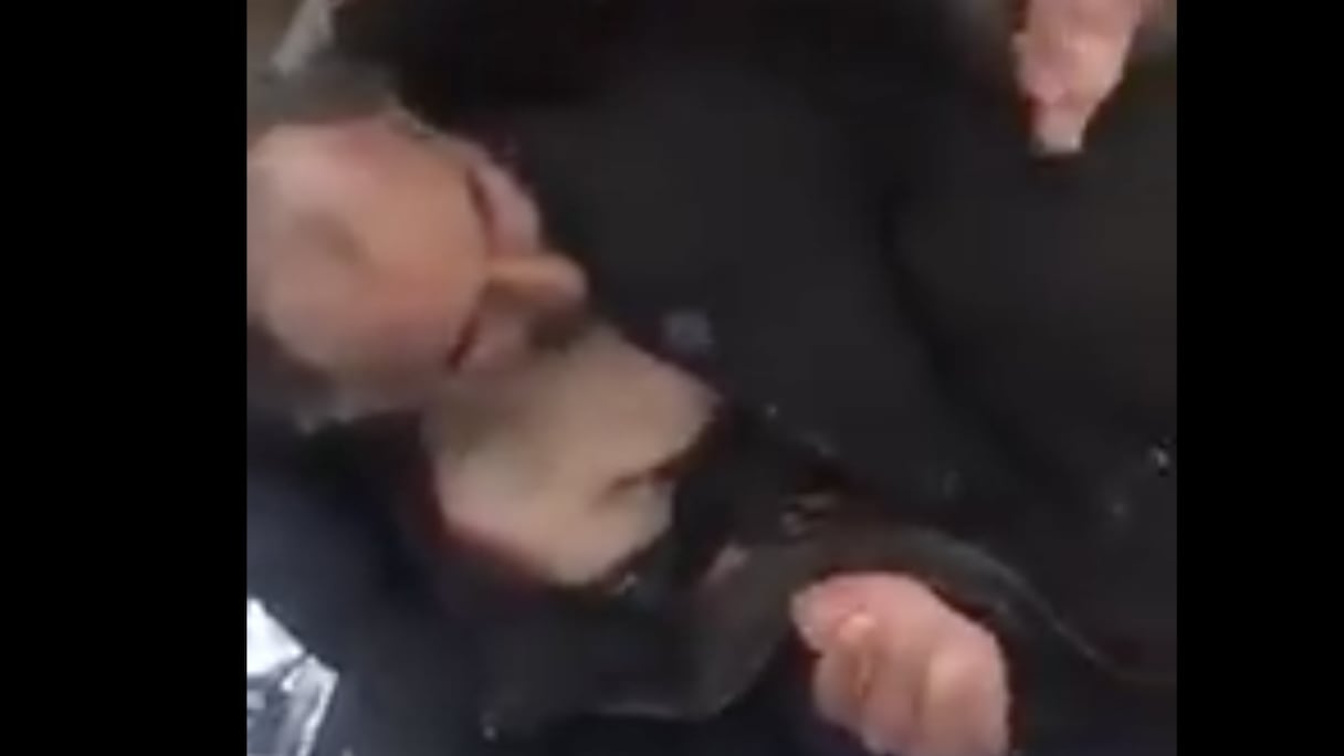 La personne blessée vivait en situation de vagabondage. Capture d'écran
