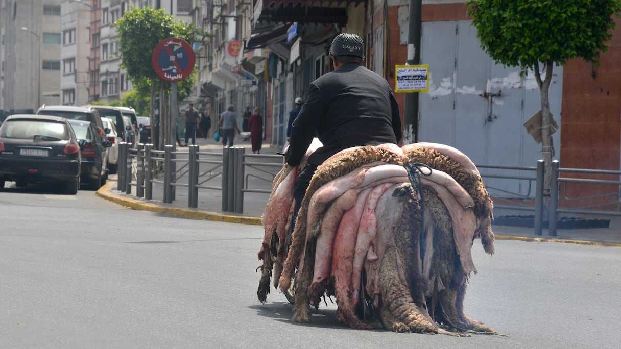 En ce jour de l'Aïd al-Adha, les peaux de moutons sont récupérées pour être transformées.
