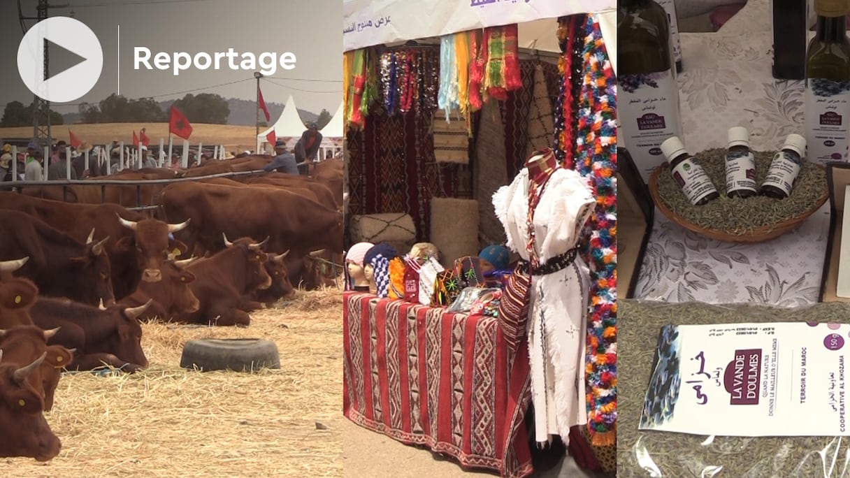 L’exposition de divers produits d’artisanat dont ceux du terroirs comme l’eau florale de lavande, les tapis et les vêtements traditionnels, lors de la 6e édition du moussem d'Oulmès, du 21 au 24 juillet 2022.
