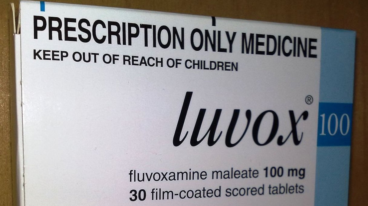 Commercialisée sous différents noms, la fluvoxamine est un antidépresseur. Selon une étude parue dans le Lancet Global Health, ce médicament a eu des résultats probants sur des patients à risques, qui peuvent développer des formes graves du Covid-19.
