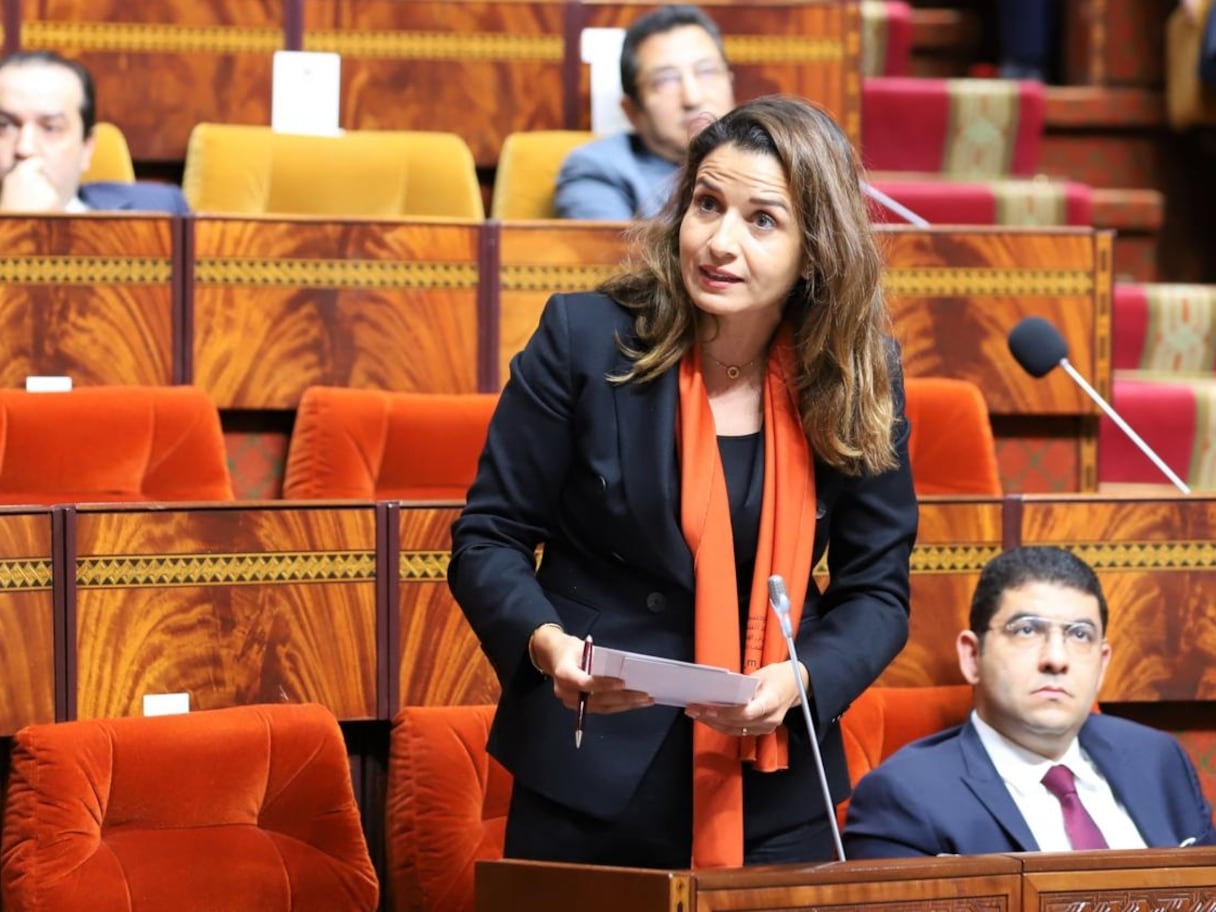 La ministre de la Transition énergétique et du Développement durable, Leila Benali, répond à une question orale à la Chambre des représentants, le 9 décembre 2021.
