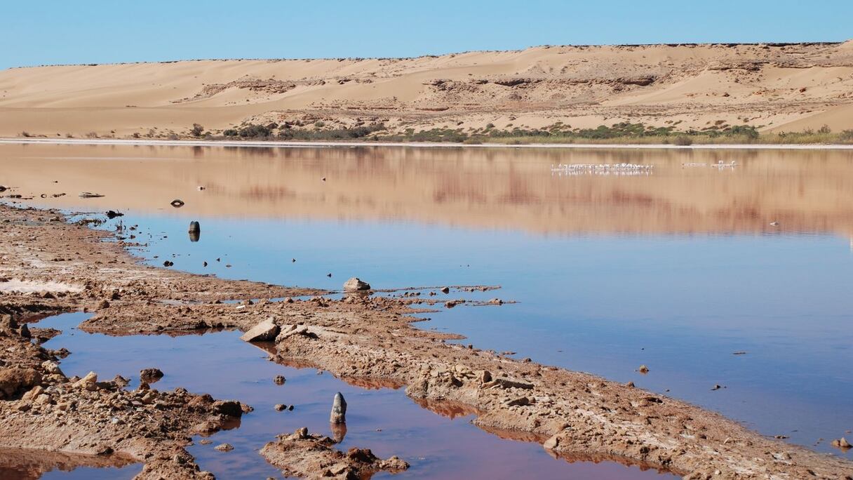 L'oued Sakia El Hamra. Connu pour son eau brune-rougeâtre, il a donné son nom à la région historique marocaine de Laâyoune-Sakia El Hamra et prend sa source à El Farsia, pour se jeter dans l'Atlantique à Foum El Oued, à près de 20 km de Laâyoune.
	 
