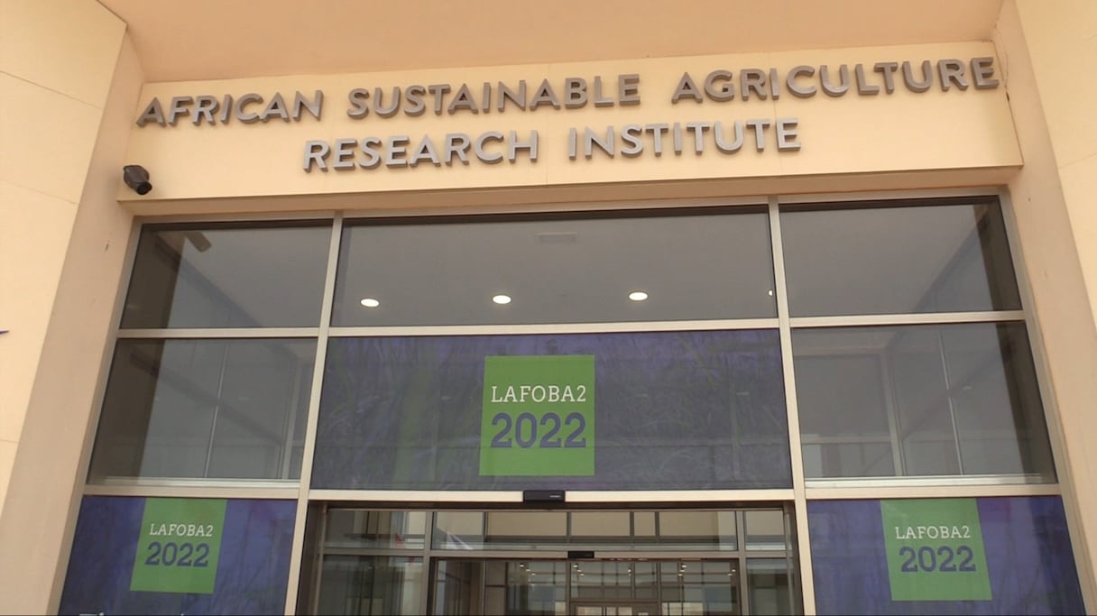 L'Institut africain de recherche agricole ASARI de Laâyoune, affilié à l'Université Mohammed VI Polytechnique.
