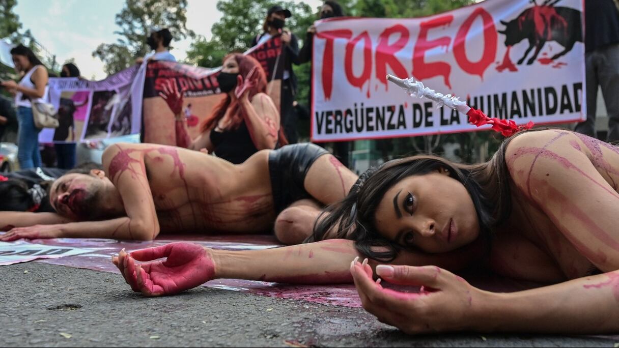 Des militants anti-corridas manifestent devant une banderole portant l'inscription «La tauromachie, honte de l'humanité», devant les arènes de la Plaza Mexico lors de son 76e anniversaire, à Mexico, le 5 février 2022.
