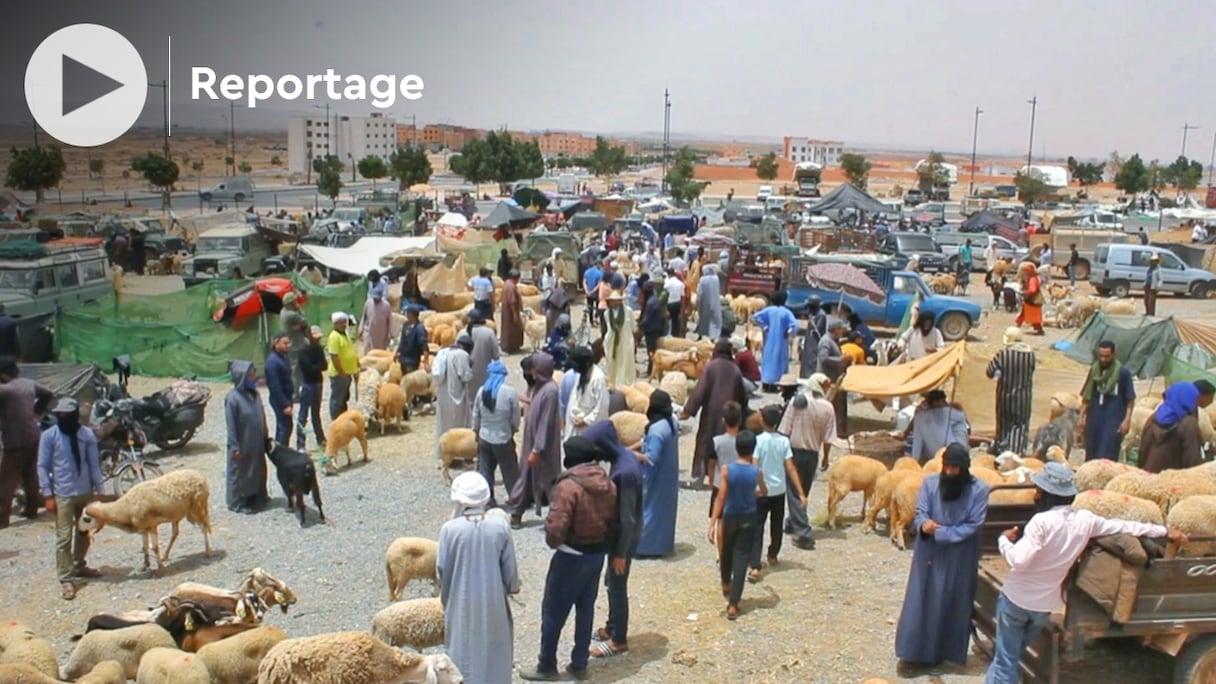 Au marché de bétail de Guelmim. 
