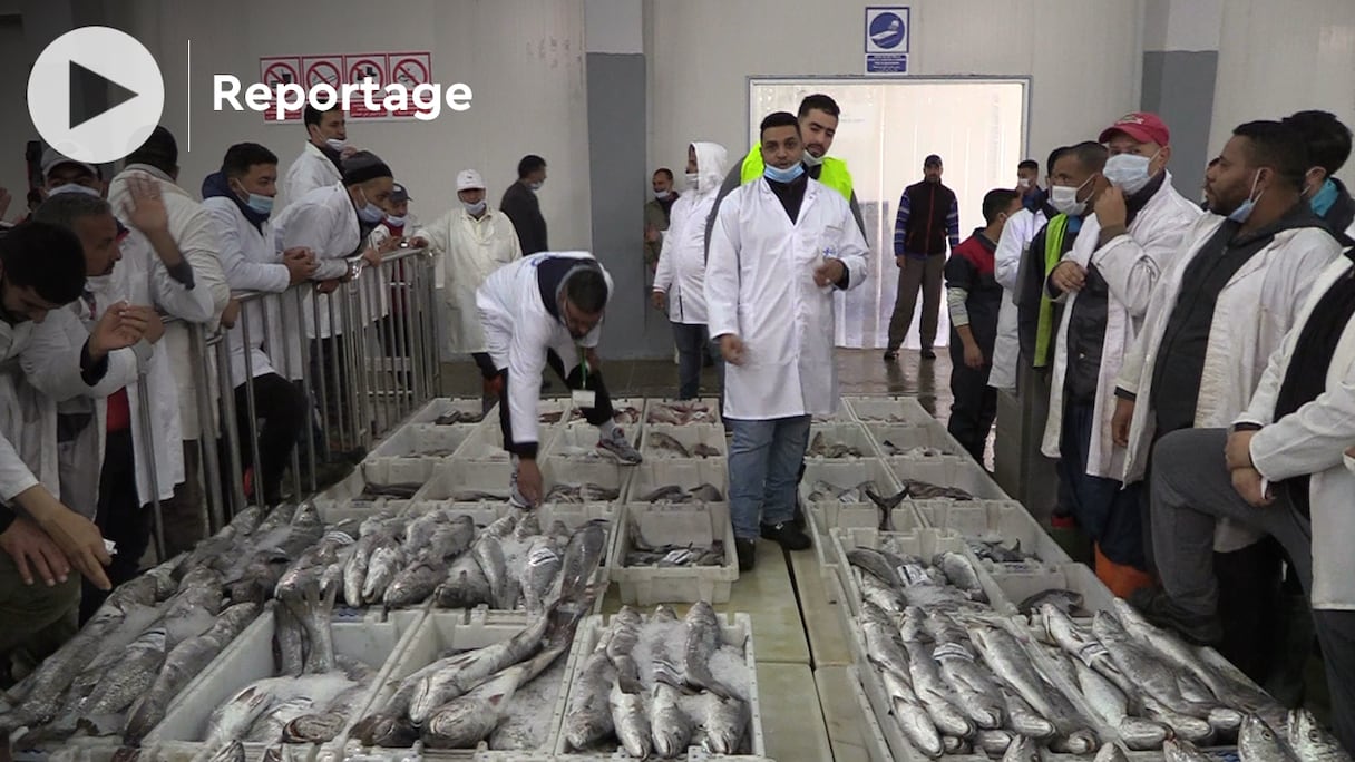 Le ministre de l'Agriculture, Mohamed Sadiki, a visité plusieurs projets de développement de la pêche maritime et d'aquaculture à Dakhla-Oued Eddahab, le 8 février 2022.
