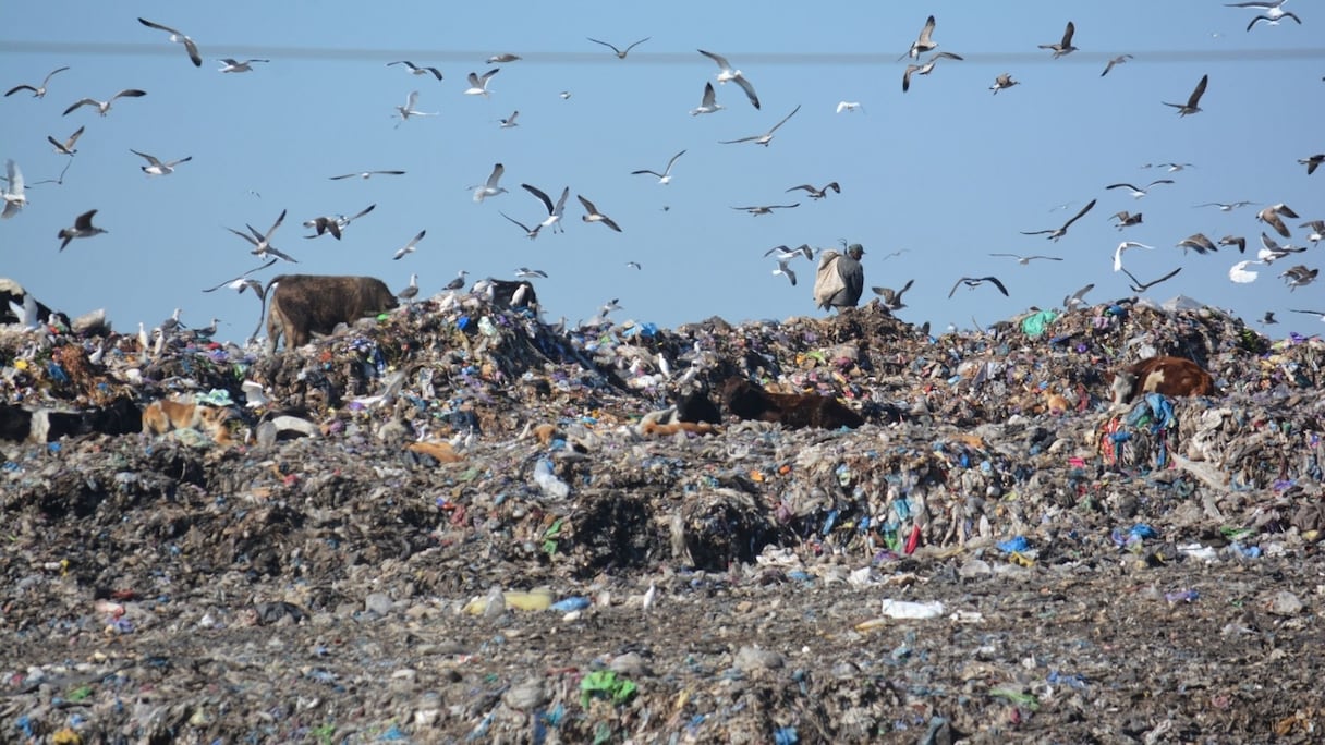 L'ancienne décharge de Médiouna a été fermée en novembre 2021 sur décision du Conseil de la ville de Casablanca.
