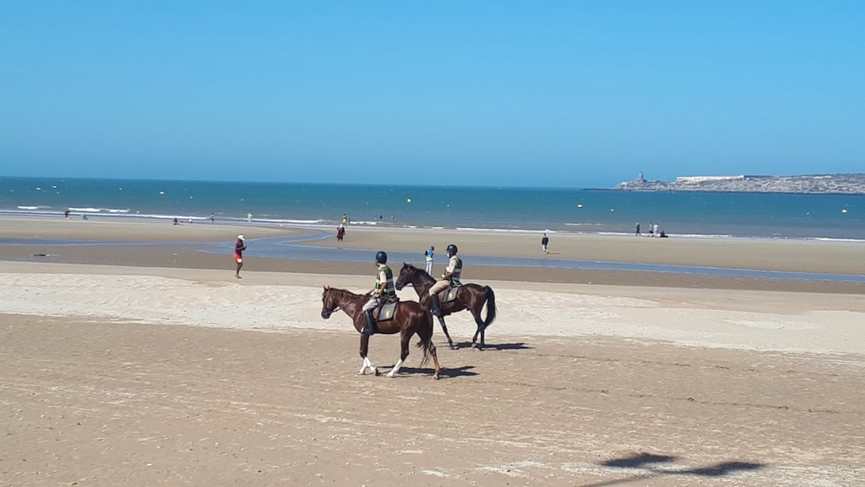 Essaouira: les autorités locales continuent leur travail mené sans répit pour la lutte contre la Covid-19
