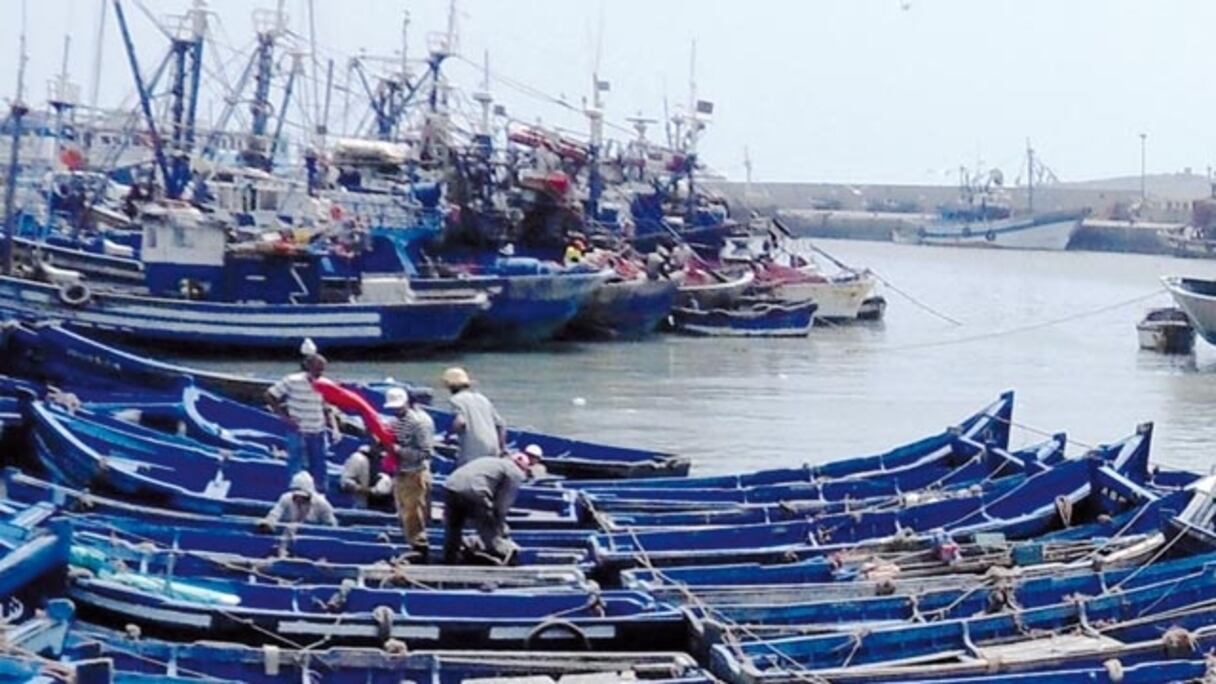 Une flottille de barques seront équipées d'un moteur additionnel.
