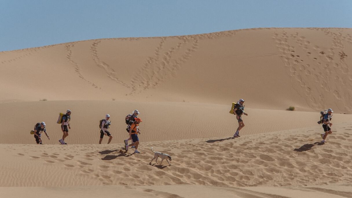 Cactus pendant le Marathon des Sables
