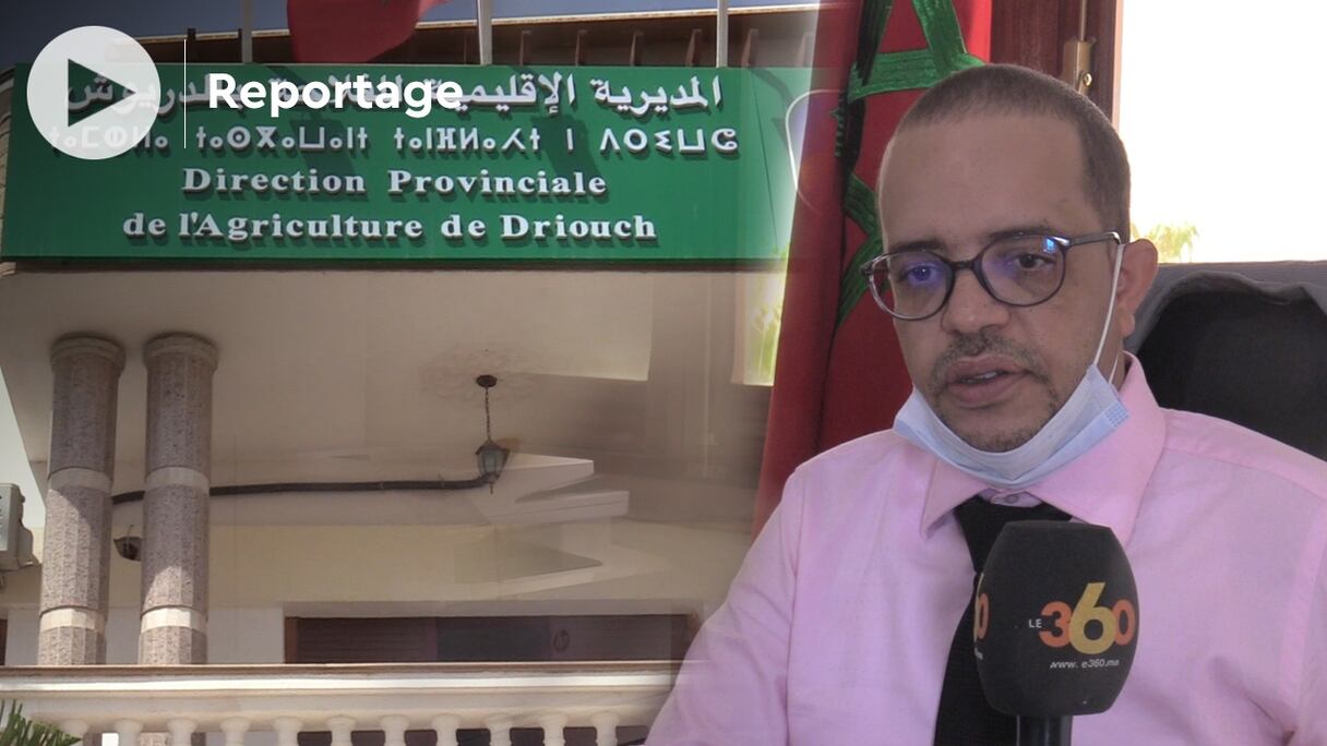 Driss Ouaskioud est le directeur provincial de l’agriculture de la province de Driouch. 
