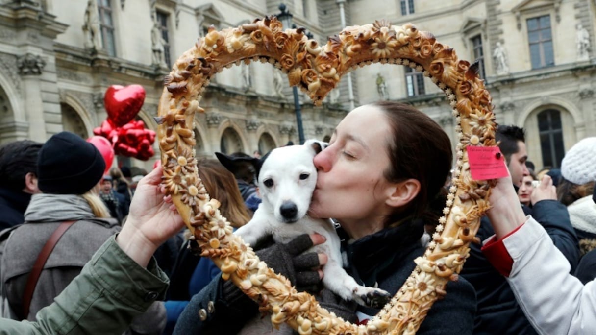 L'ami de l'homme? Le chien au grand coeur.
