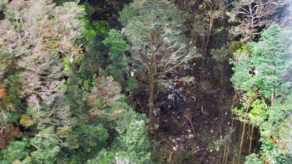 L'avion s'est écrasé dans les montagnes Bintang à une quinzaine de km de l'aéroport d'Oksibil où il devait atterrir.
