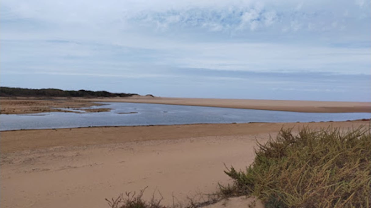 Embouchure de l'oued Souss, parc national de Souss-Massa (entre Agadir et Tiznit). Dans cette réserve de 33.800 hectares, créée en 1991, mangoustes, chacals, sangliers et gazelles côtoient plusieurs espèces d'oiseaux: goélands, faucons, cormorans ou hérons.
