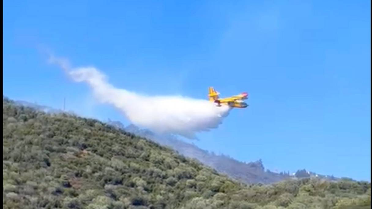 Un Canadair lutte contre le feu à la forêt de «Kodiat Tifour».
