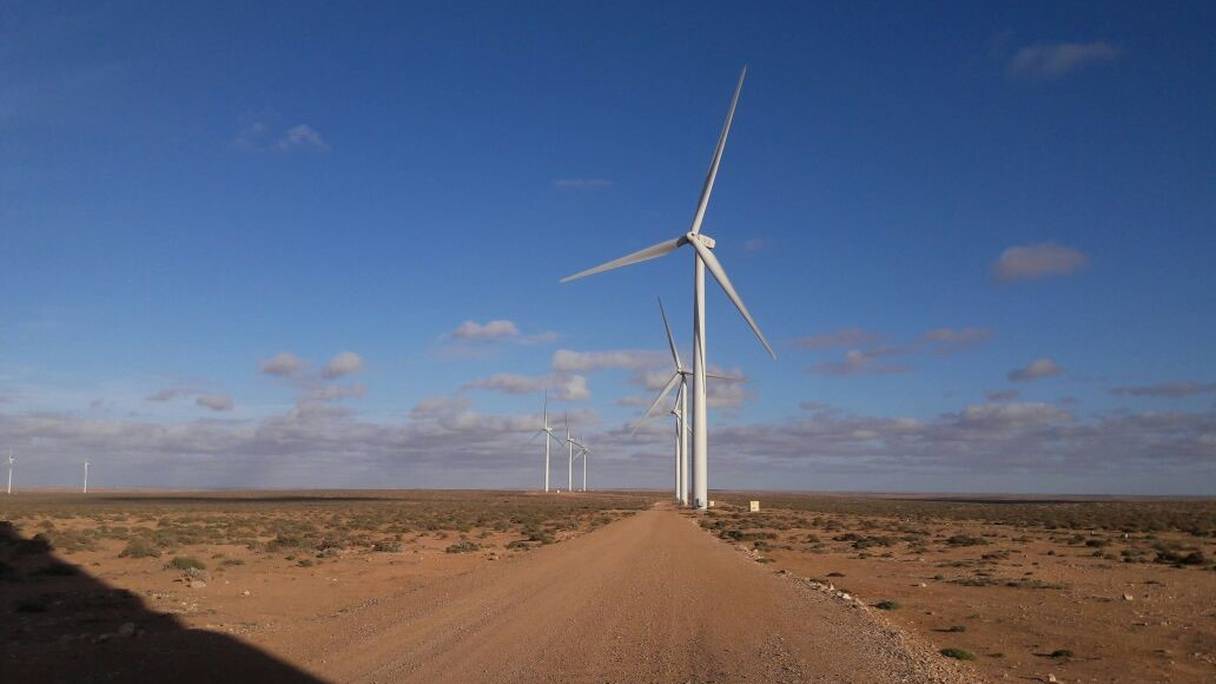Des éoliennes du parc d'Akhfenir, dans la province de Tarfaya, développé par GE Renewable Energy et Nareva, et mis en service en 2016.
