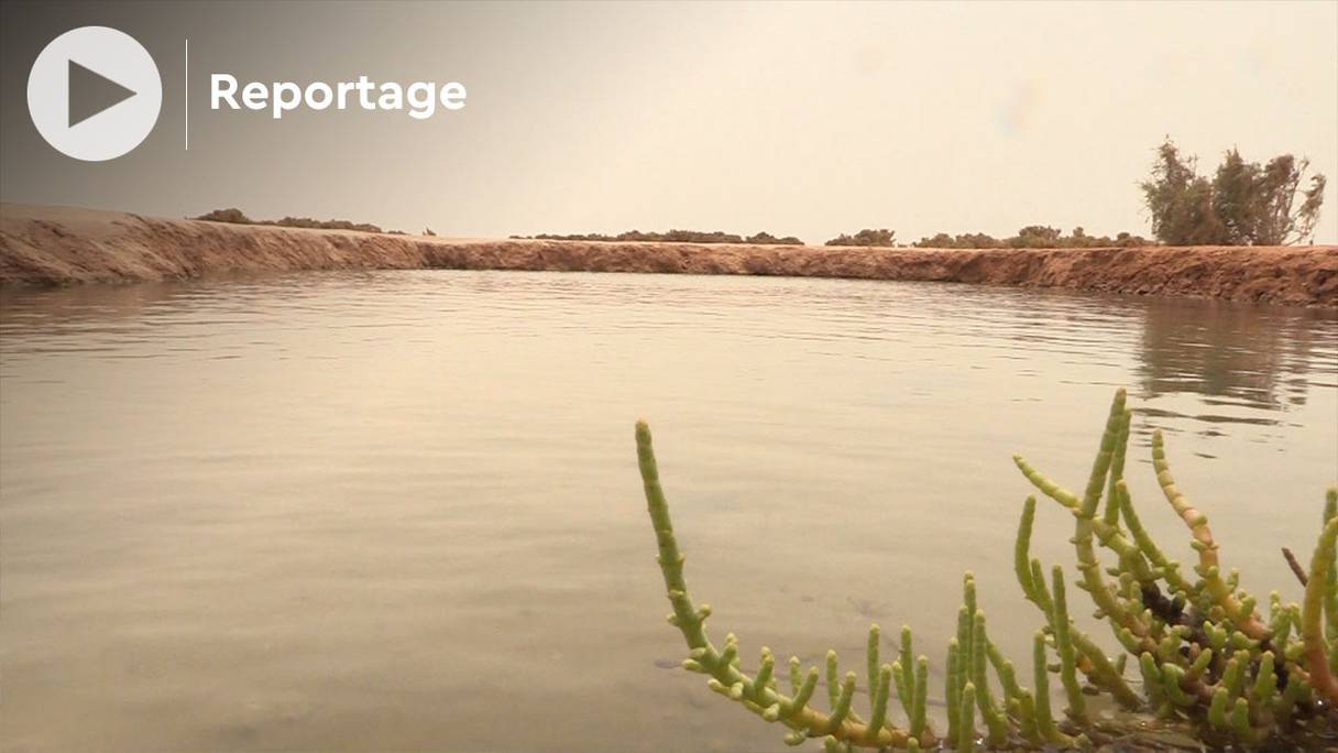 La sebkha, une dépression fermée, salée et inondable, spécifique à l'Afrique du Nord.
