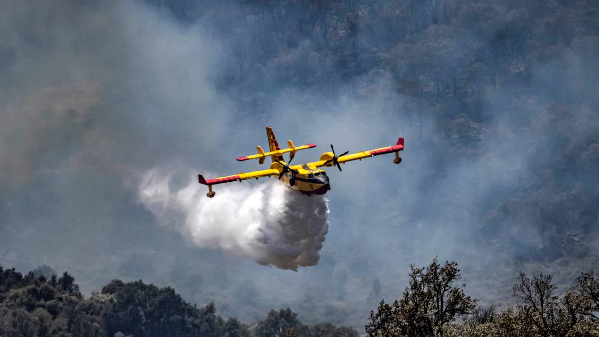 Un Canadair CL-415 des Forces royales air largue son chargement d'eau pour éteindre le feu de forêt qui fait rage, près de Ksar el-Kebir, dans la région de Larache, le 14 juillet 2022.
