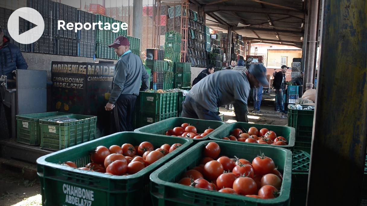 Des commerçants au marché de gros de fruits et légumes de Casablanca.
